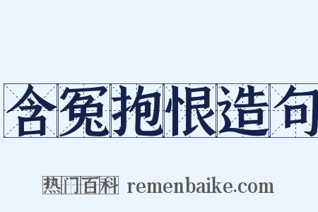 含冤抱恨造句是什么意思的图片
